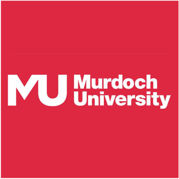 MU Dubai